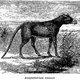 Illustration for article titled Strange 19th Century Drawings of Dinosaurs and Other Extinct Animals